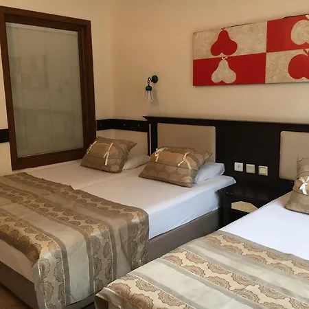 酒店 Telmessos Neva 4*