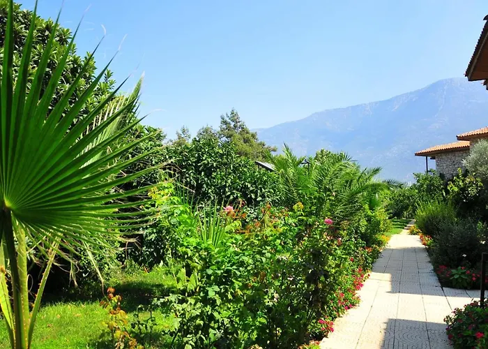 Telmessos Neva 4* Öludeniz