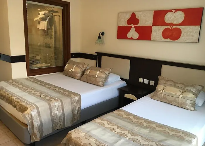 Telmessos Neva Hotell Öludeniz
