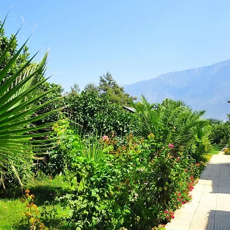 Telmessos Neva 4* Öludeniz